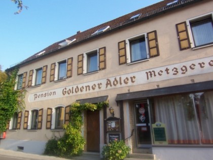 Foto: Goldener Adler